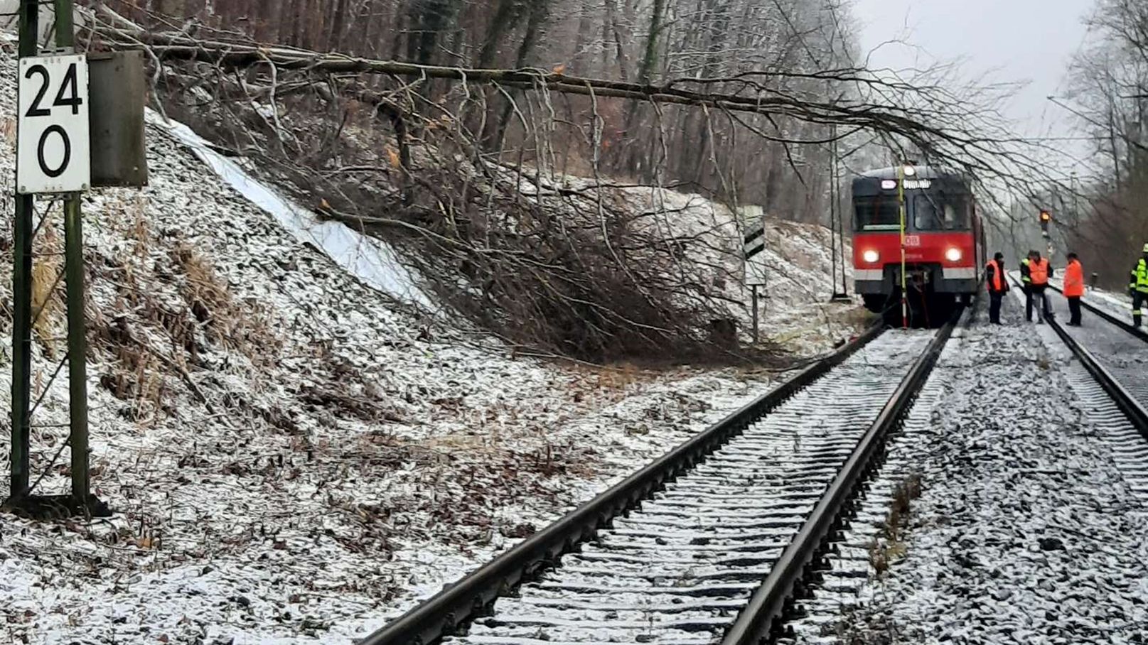 250116_BBU_Baum_FFB Zwischen Fürstenfeldbruck und Buchenau strützte ein abgebrochener Baum auf die Oberleitung. Eine nahende S-Bahn kam, dank Langsamstrecke, rechtzeitig zum Stehen. Foto: Bundespolizei