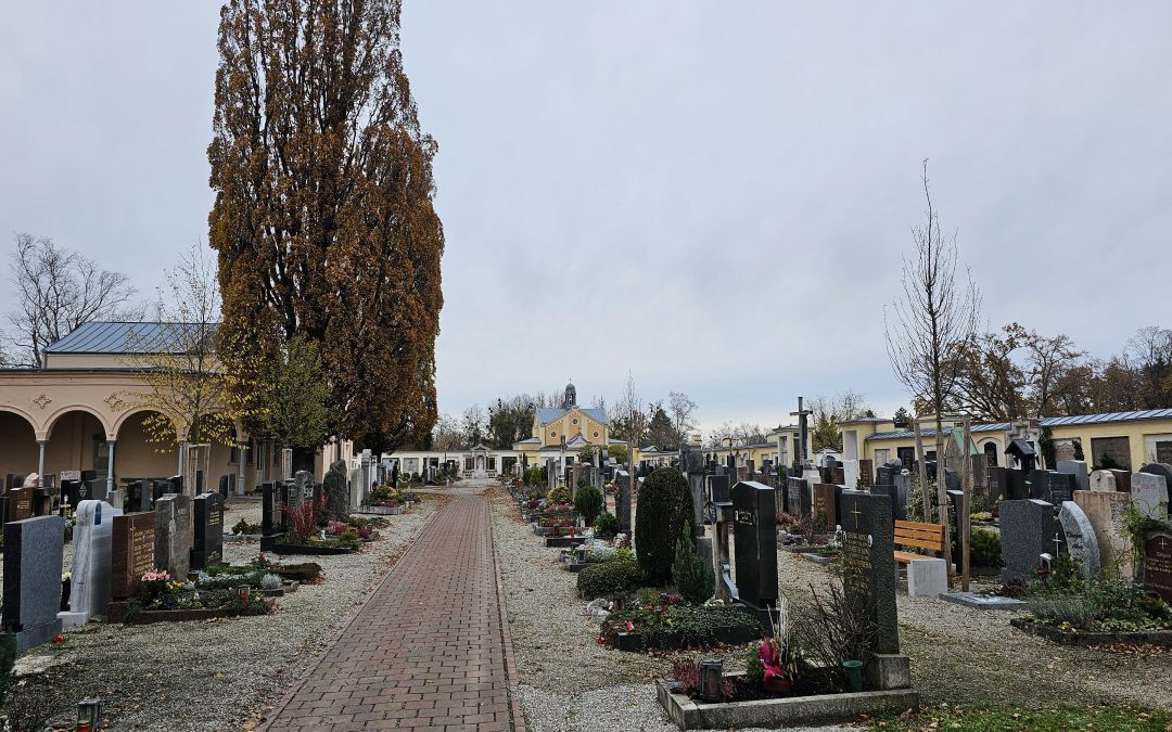 Sozialbestattung in Rosenheim: Neun Verstorbene werden gemeinsam beigesetzt