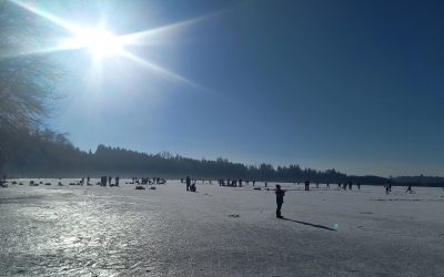 Noch einmal viel los auf dem Hofstätter See