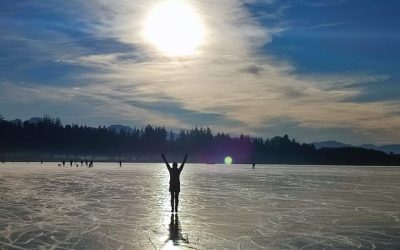 Reges Treiben auf dem Hofstätter See am Neujahrstag
