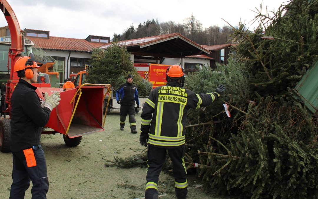 Traunstein: Feuerwehren sammeln 1749 ausrangierte Christbäume