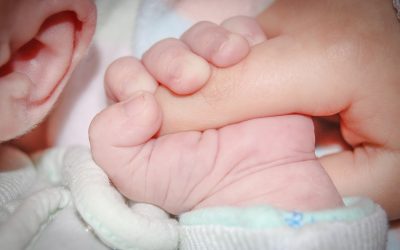Babybegrüßungsfest in Rosenheim: Treffpunkt für junge Familien