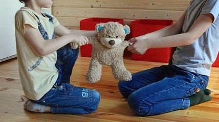 do-not-share-a-toy-5189298_640 Kinder streiten sich um Plüschbär. Foto: re