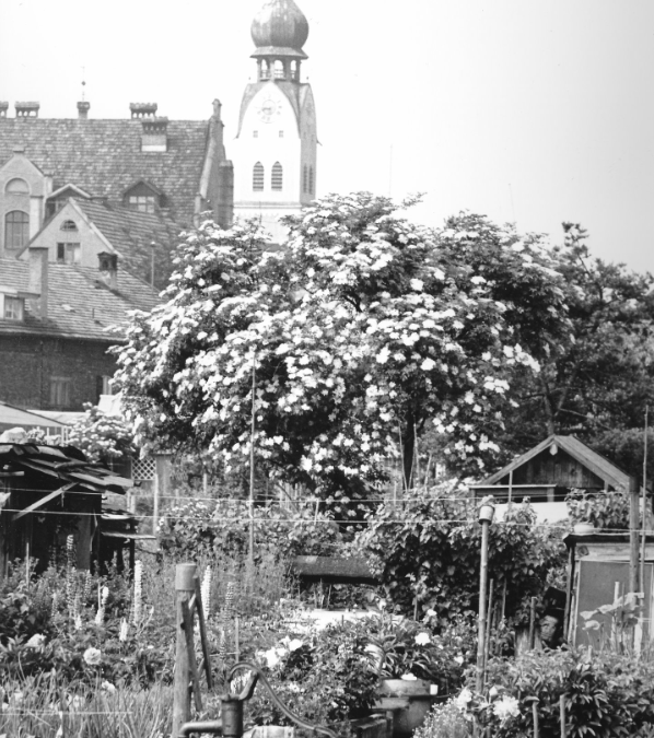 Kirche St. Nikolaus, Rosenheim, 1960