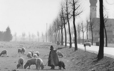 Heilig Blut, Rosenheim, 1960