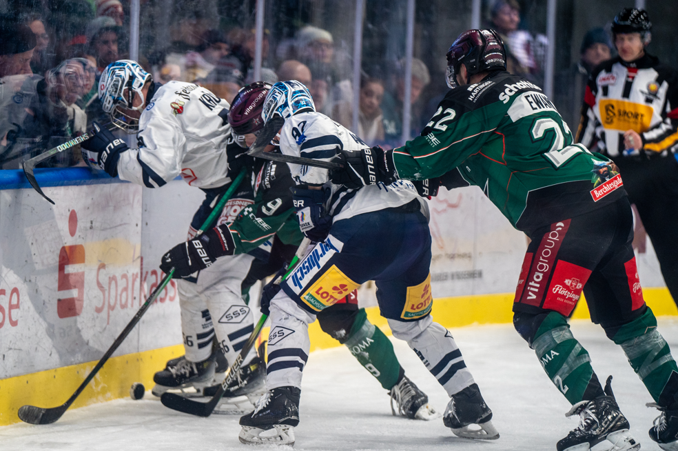 star 3 Starbulls Rosenheim gegen Dresdner Eislöwen: Fotos: Ludwig Schirmer / Peter Lion