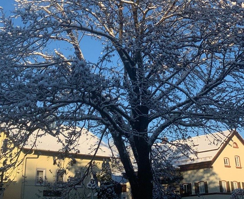 „Aibling – Gemeinsam“ in Bad Aibling