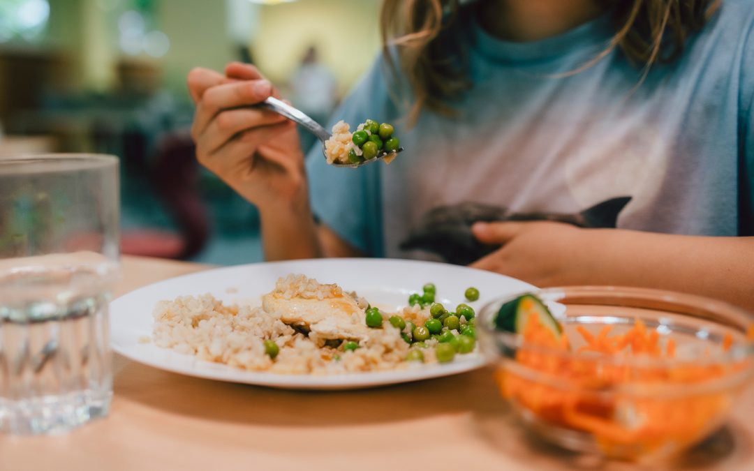 NGG richtet „Mahlzeit-Apell“ an die Parteien zur Bundestagswahl
