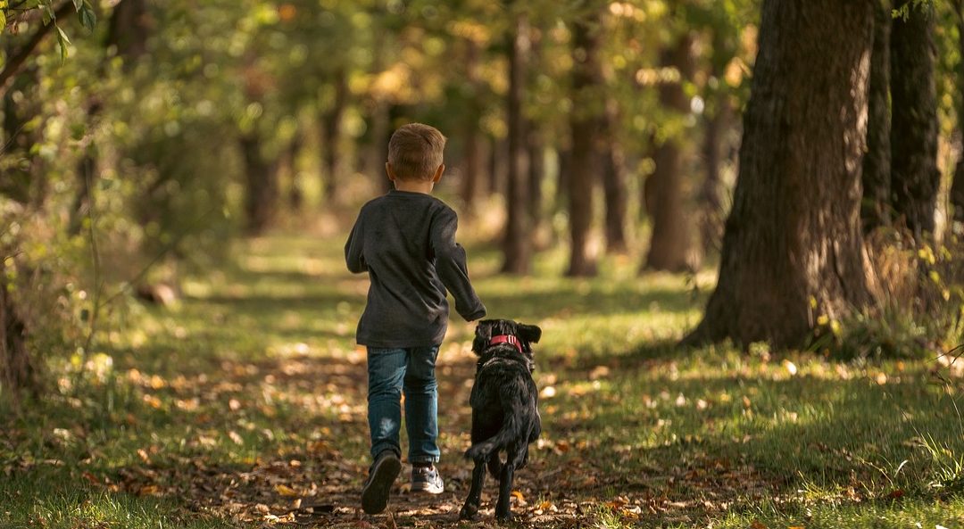 Boys’Day am 3. April in Unternehmen