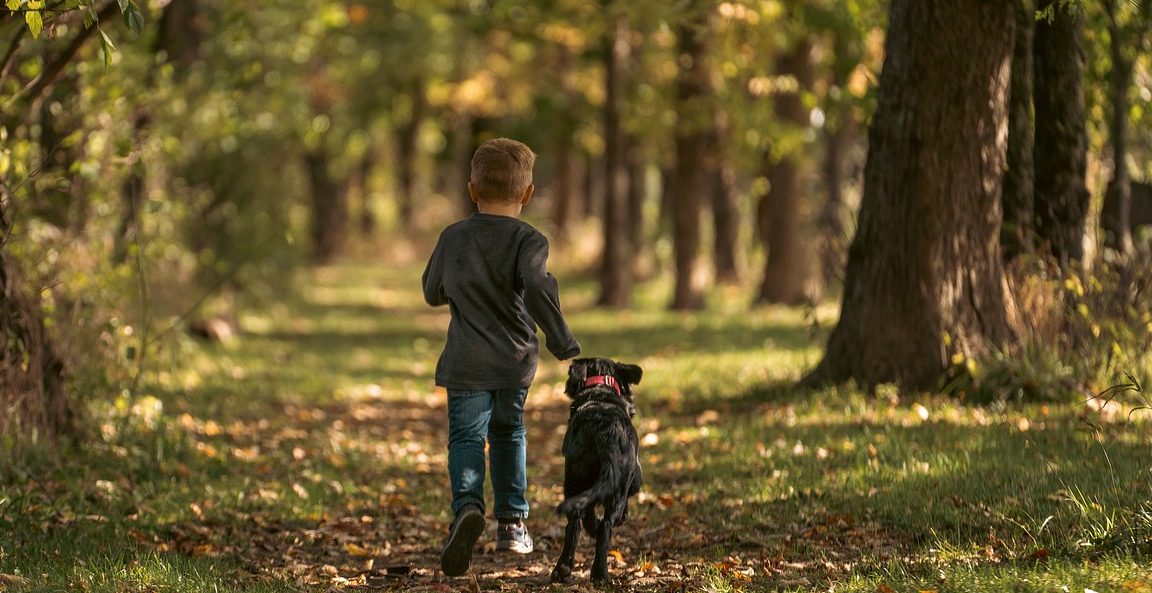 Junge Junge von hinten läuft neben Hunde