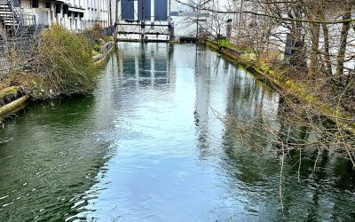 MorgenINNPULS – Schon gewusst?