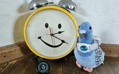 Neues von der Roselinde: Denkts ans Uhr drahn