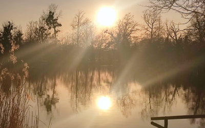 Mystische Stille am Happinger See in Rosenheim