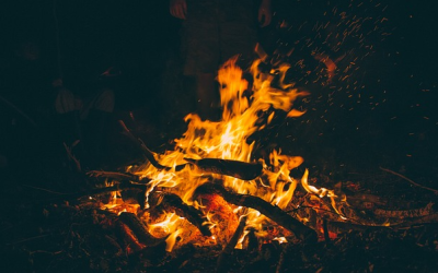 Lagerfeuer verursacht Schwelbrand am Waldrand bei Raubling