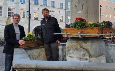 Am Nepomukbrunnen kehrt der Frühling ein