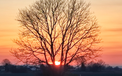 Der Frühling nimmt Fahrt auf