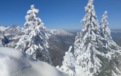 Winterfazit der drei Lawinenkommissionen im Landkreis Rosenheim: „Es war trocken, kalt und es fiel wenig Schnee“
