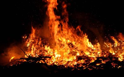 Vorsicht bei Osterfeuern: Versteckte Tiere vor den Flammen retten