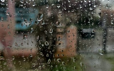 MorgenINNPULS – Schon gewusst?