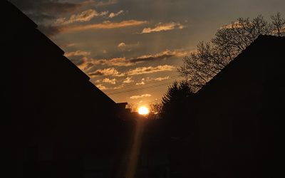 MorgenINNPULS – Schon gewusst?