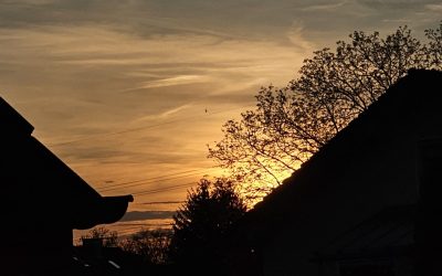 MorgenINNPULS – Schon gewusst? 