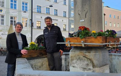 Am Rosenheimer Nepomukbrunnen ist der Frühling eingekehrt