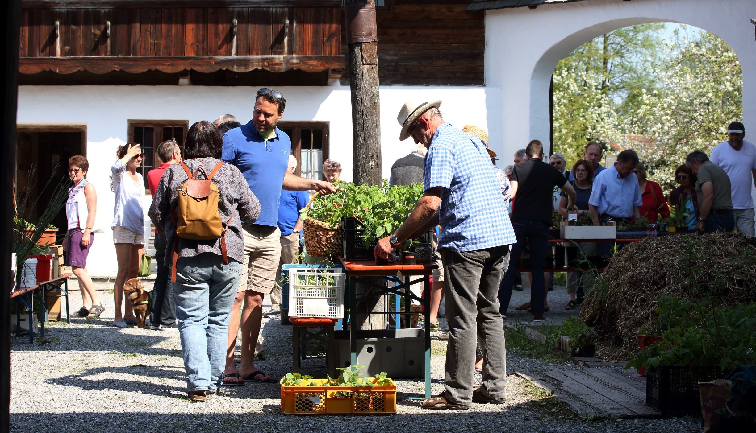 FLM Amerang_Pflanzentauschbörse (2) Neue Vielfalt für den Garten bietet die Pflanzentauschbörse im Freilichtmuseum Amerang Copyright Bezirk Oberbayern, Archiv FLM Amerang, G. Nixdor