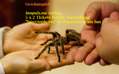 Gewinnspiel: Innpuls verlost Tickets für „Insectophobie“ in Wasserburg am Inn