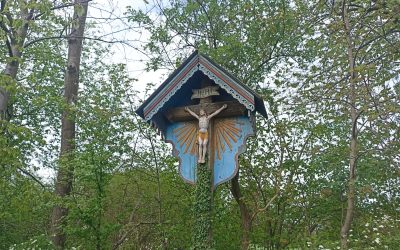 Erzbistum trauert um Papst Franziskus