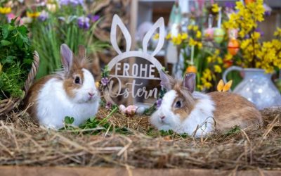 Ostern auf Gut Aiderbichl