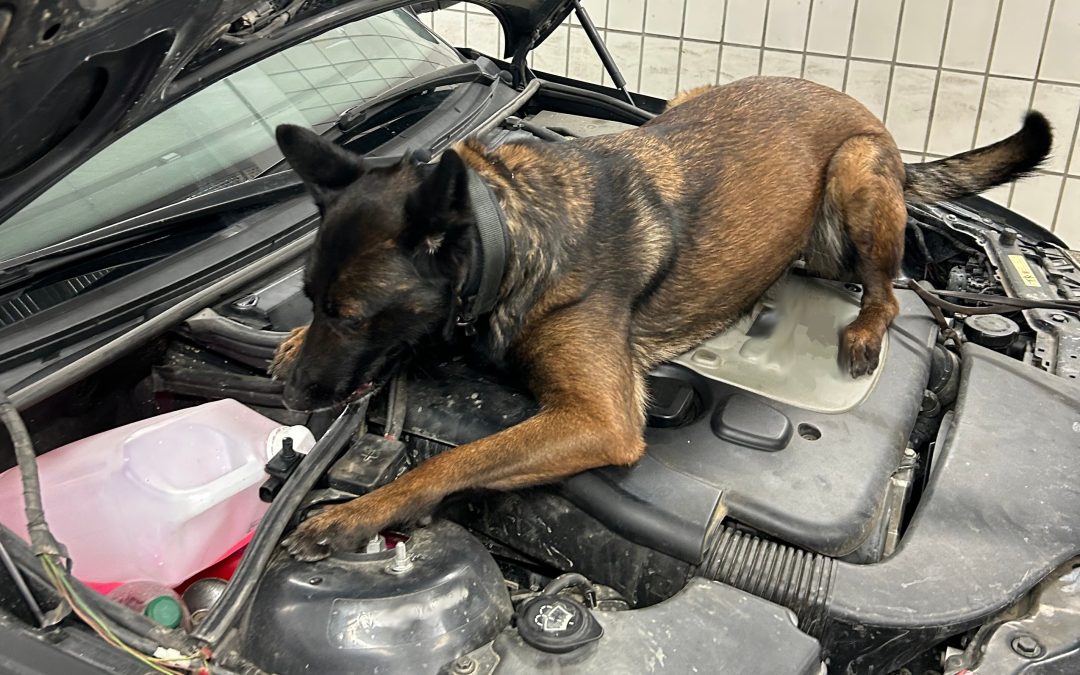 Drogenfund bei Zollkontrolle am Irschenberg: knapp 55 Gramm „Crystal Meth“