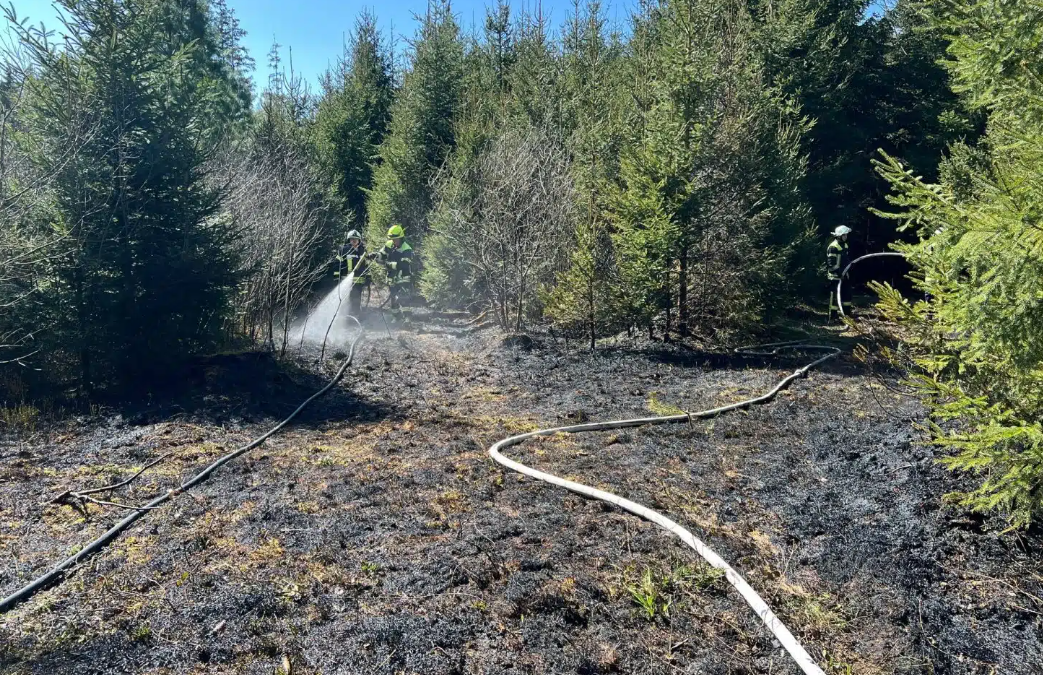 Landkreis Rosenheim: Warnung vor hoher Waldbrandgefahr