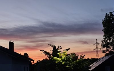 MorgenINNPULS – Schon gewusst?