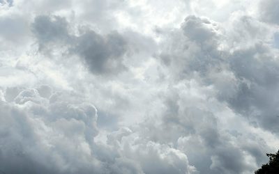 MorgenINNPULS – Schon gewusst?