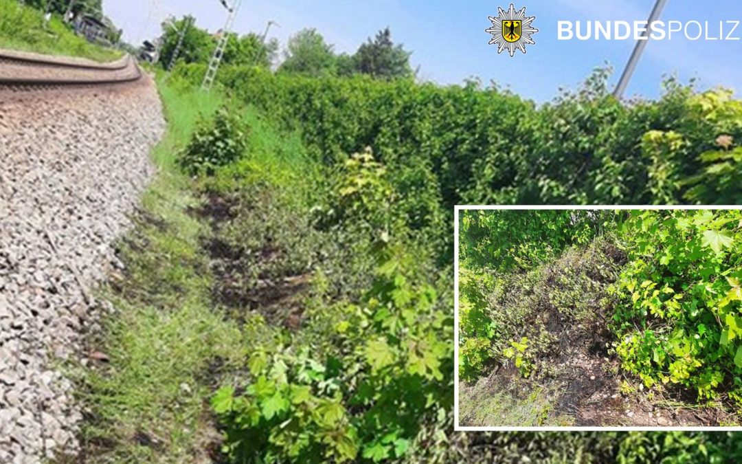 München: Zigarette löst Böschungsbrand aus