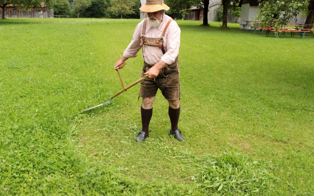 Sensenmähkurs im Freilichtmuseum Amerang