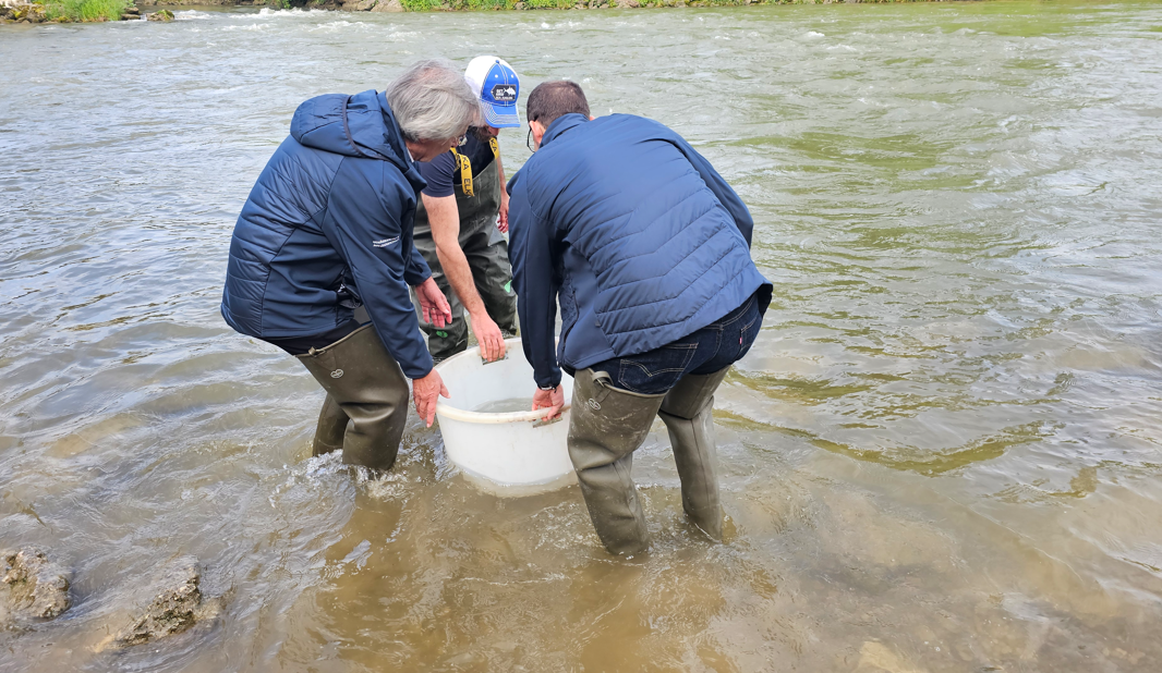 Huchenbesatz anlässlich des Bayerischen Landesfischereitag in der Mangfall in Rosenheim. Fotos: Innpuls.me