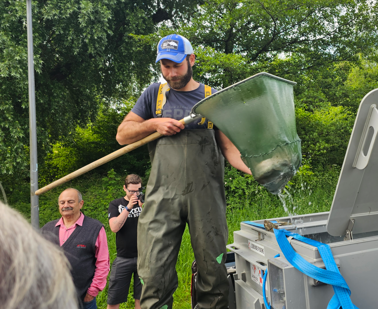 Huchenbesatz anlässlich des Bayerischen Landesfischereitag in der Mangfall in Rosenheim. Fotos: Innpuls.me