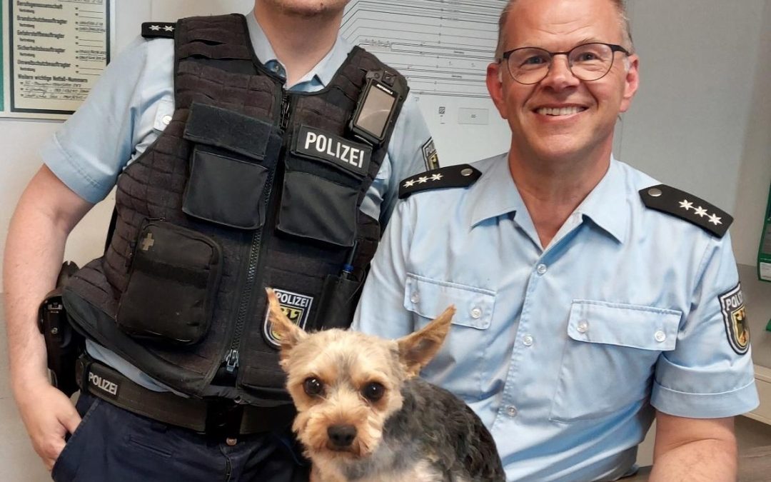 Bundespolizei bringt Ausreißer „Rocky“ sicher zurück