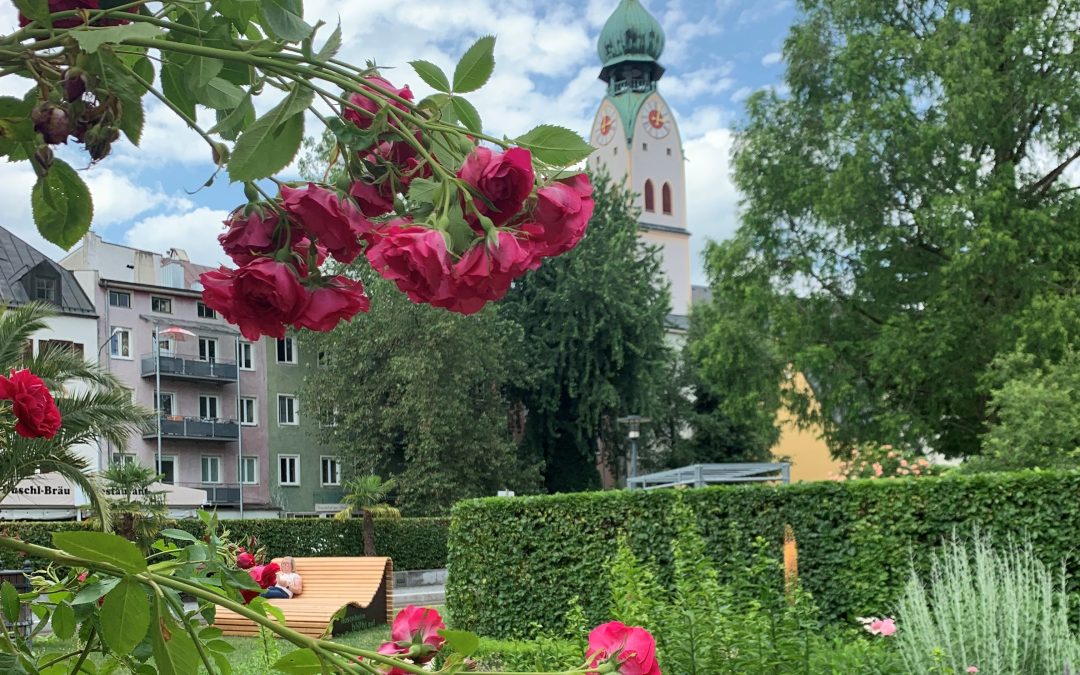 Von Rosen, Färbern und Händlern – Rosenheimer Stadtführungen im Juni