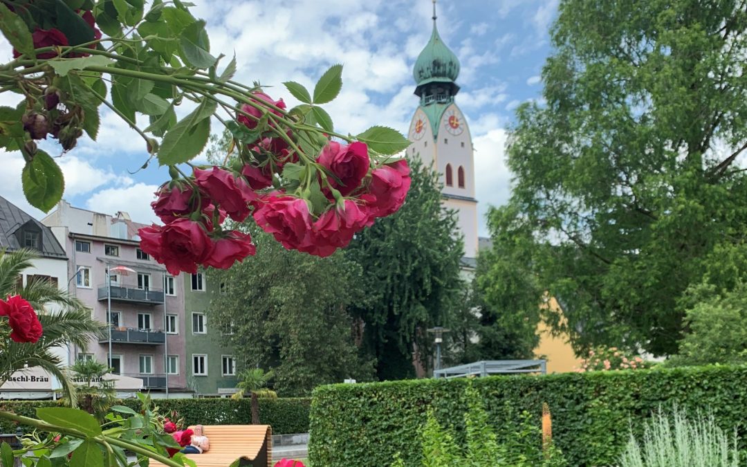 Von Rosen, Färbern und Händlern: Stadtführungen im Juni in Rosenheim