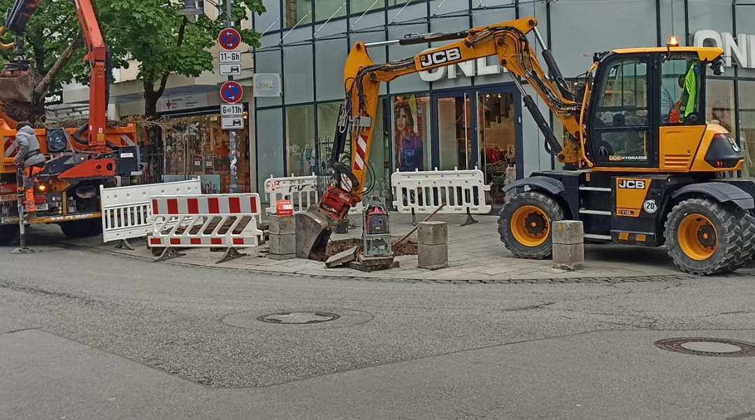 Bäume in der Rosenheimer Münchener Straße weg – Neue kommen