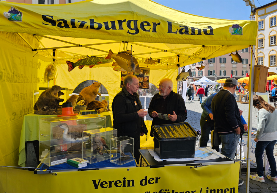 Umwelttag 3 Rosenheimer Umwelttag 2025. Fotos: Innpuls.me