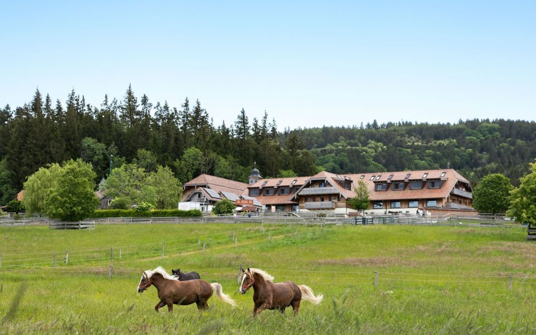 Gut Aiderbichl Henndorf hat Eröffnungstermin verschoben
