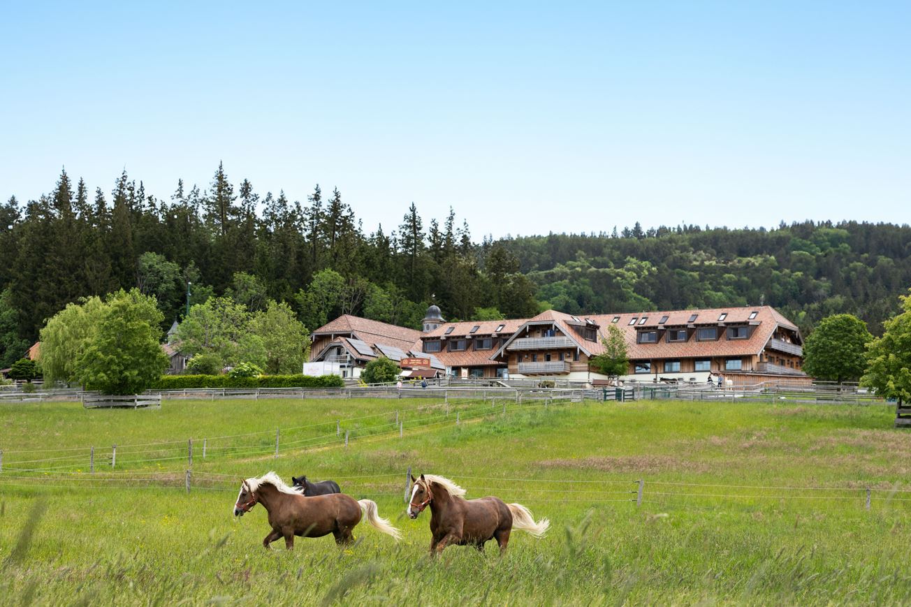 hat bald wieder geöffnet Gut Aiderbichl Henndorf wird bald wieder für die Besucher öffnen. Foto: Copyright Gut Aiderbichl