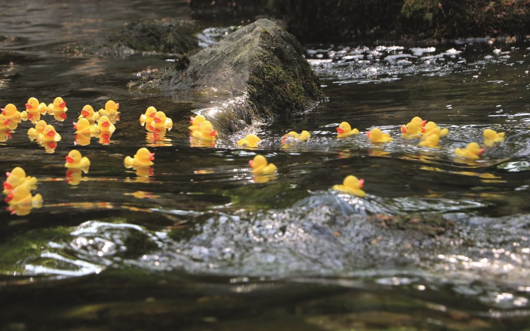 Jubel, Trubel, Heiterkeit: Priener-Kindersommer-Fest