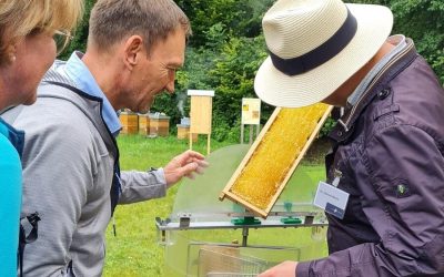 Ferienprogramm im Freilichtmuseum Amerang