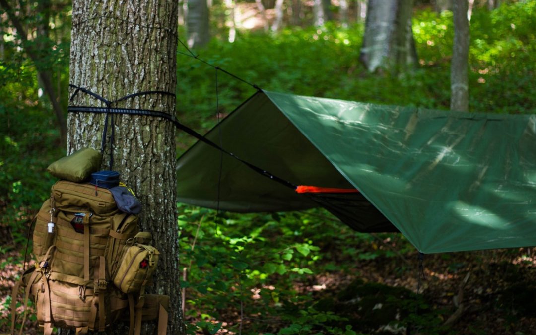 Buchtipp mit Buchverlosung: „Frei in der Wildnis“