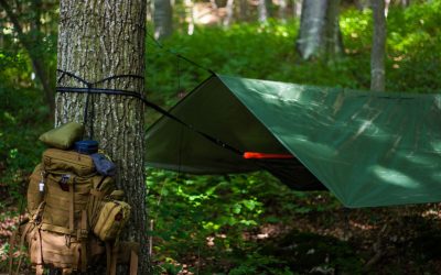 Buchtipp mit Buchverlosung: „Frei in der Wildnis“