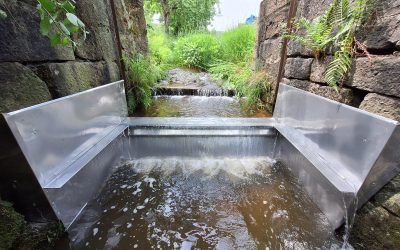 Für den Schutz des Steinkrebses: Erste Krebssperre Niederbayerns